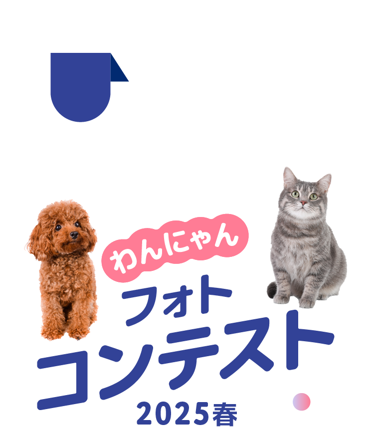わんにゃんフォトコンテスト 2025春