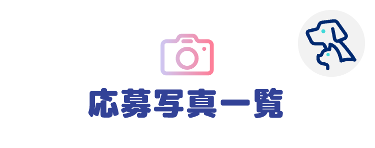 応募写真一覧